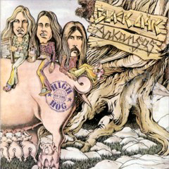 Black Oak Arkansas - 1973 - High On The Hog